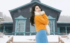 激情燃烧的岁月下载